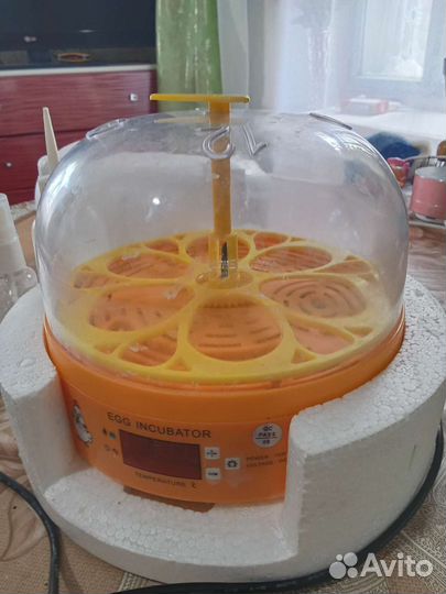 Мини инкубатор