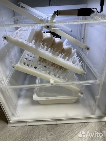 Инкубатор на 72 яйца автомат