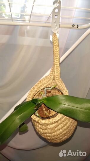 Кашпо подвесное для цветов