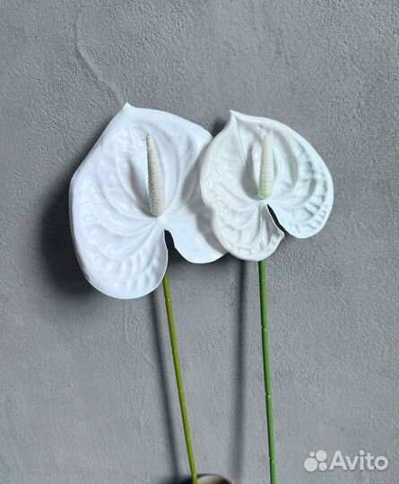 Декоративные ветки в ассортименте