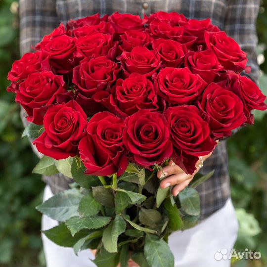 Букет 25 Крупных Роз. Цветы с Доставкой