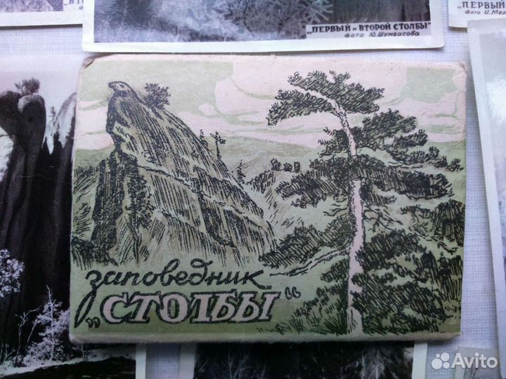 Заповедник столбы 1954 год фотографии