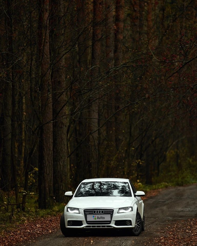 Audi A4: фото владельца