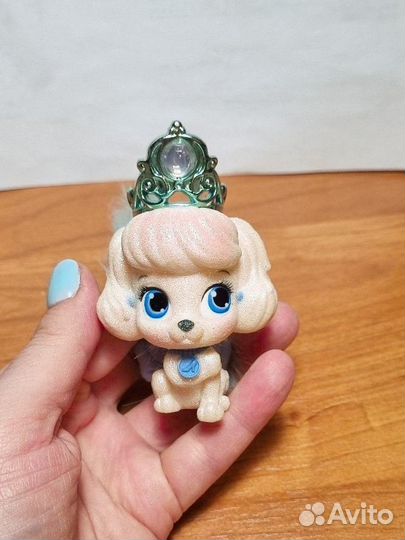 Тыковка,щенок Золушки