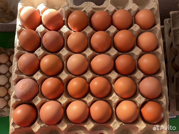 Яйцо куриное