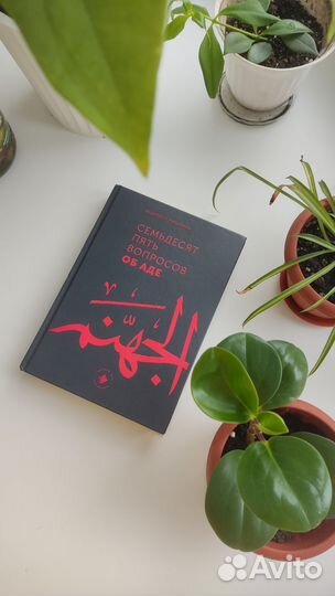 Книга 75 вопросов об Аде