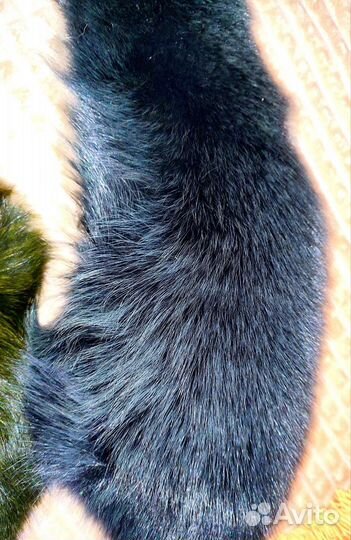 Меховые воротники