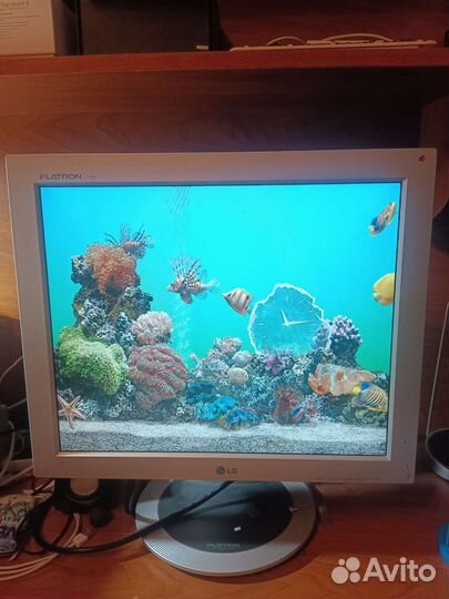 Монитор LG