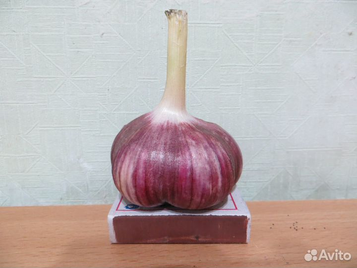 Продам огурчики обычные, корнишончики, чеснок шт
