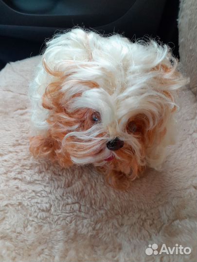 Собака болонка игрушка СССР