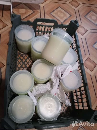 Барсучий жир