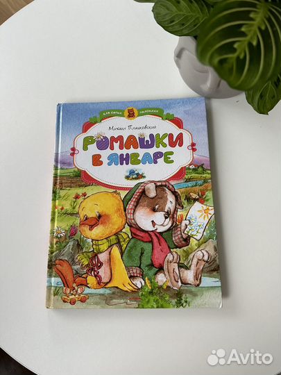 Ромашки в январе. Сказки. Михаил Пляцковский