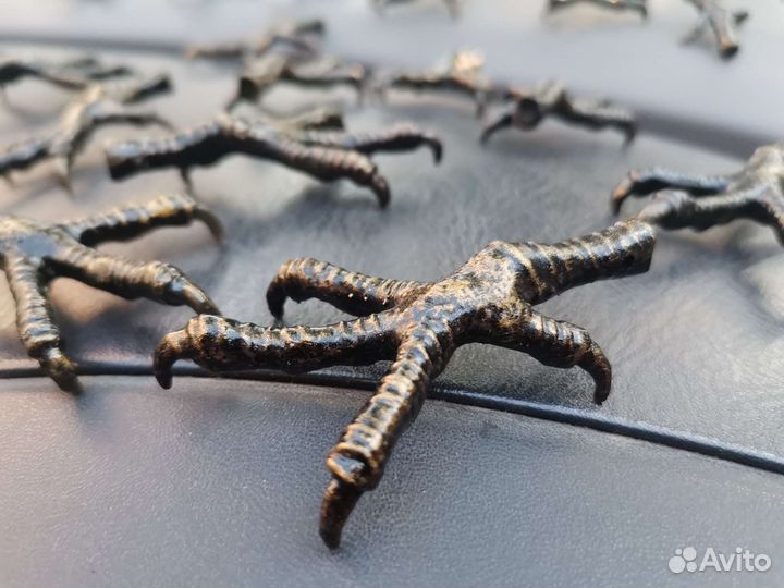 Лапка ворона