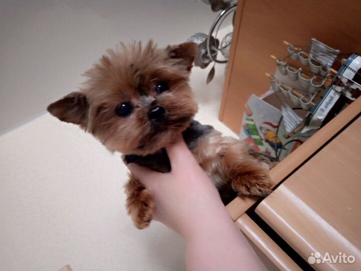 Вязка для декорашек (невест)