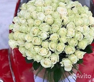 101 Роза Цветы Букеты 51 25 Роз Доставка