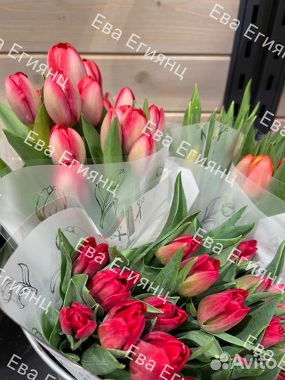 Тюльпаны розница