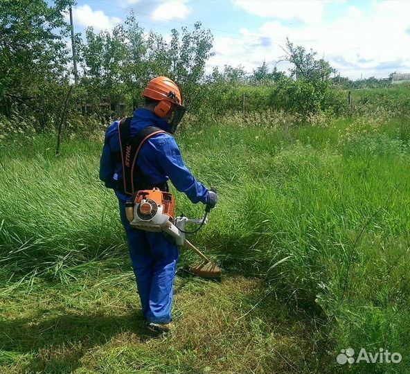Покос травы мотокосой