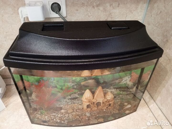 Аквариум