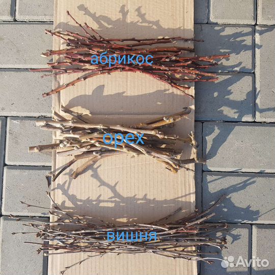 Лакомство ветки для грызунов