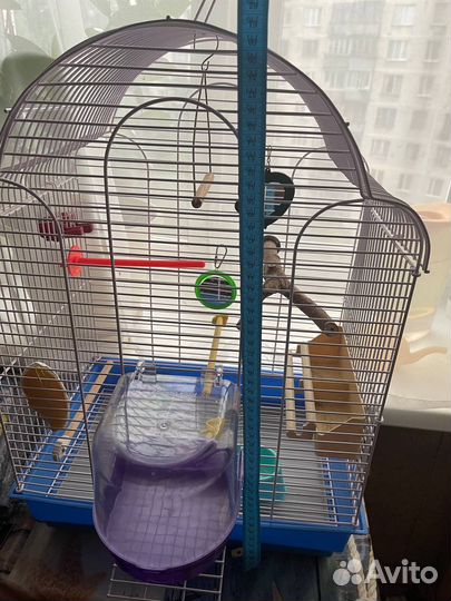 Клетка для птиц