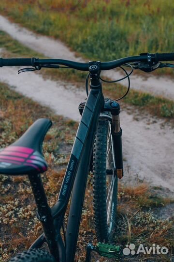 Горный велосипед MTB Dartmoor Primal 29