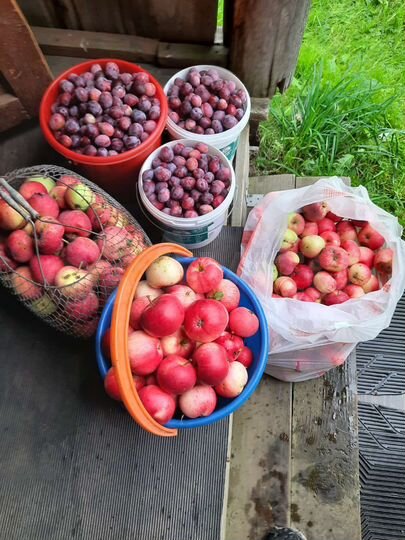 Дом 38,6 м² на участке 10,7 сот.