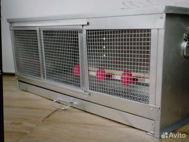 Брудер для цыплят бу