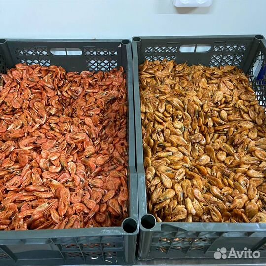 Вяленая северная креветка в остром томатном соусе