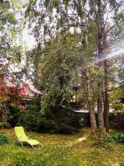 Дом 455 м² на участке 12,8 сот.