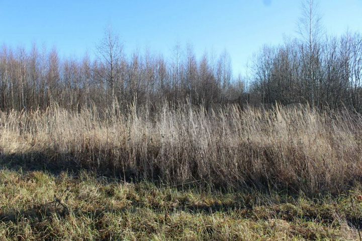 Участок 10 сот. (СНТ, ДНП)