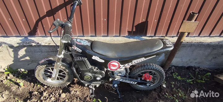 Burromax mini tt250