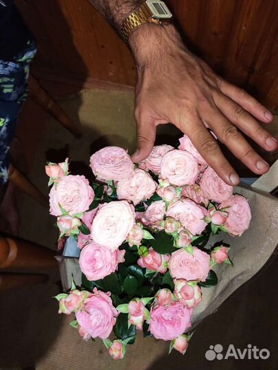 Мишка 2.6м поздравление срочный выезд сейчас