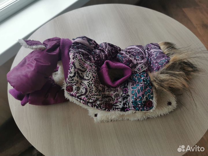 Одежда для собак мелких пород