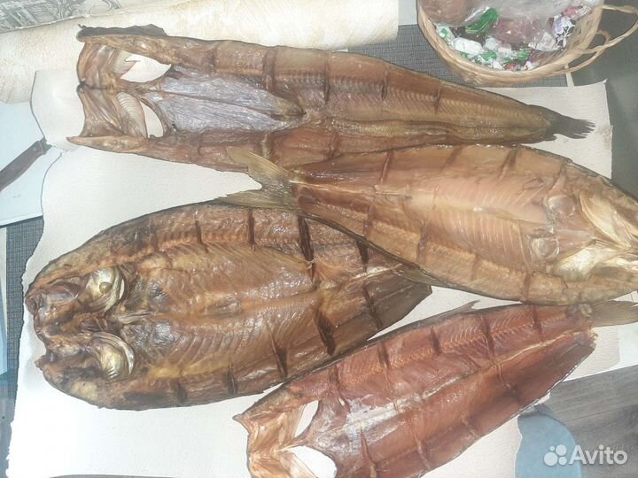 Рыба балык с Астрахани от производителя
