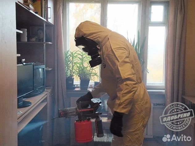 Уничтожение клопов тараканов дезинфекция плесени