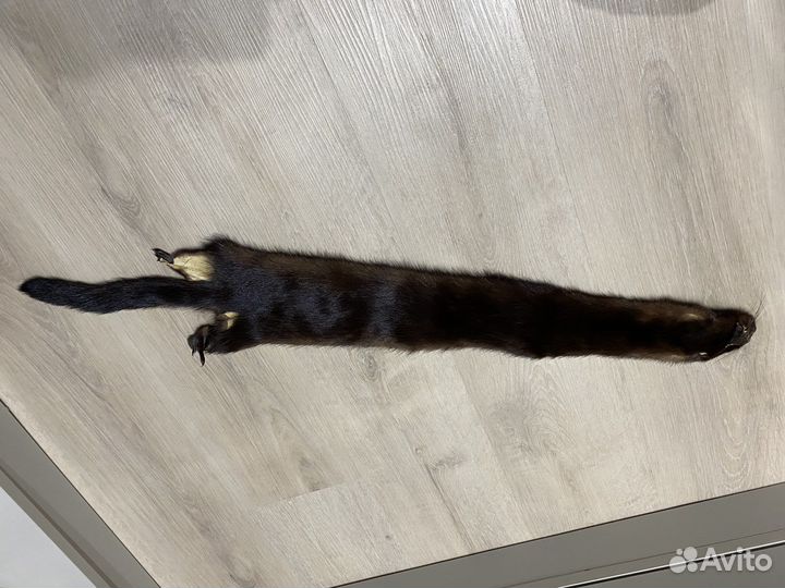 Норка чулок