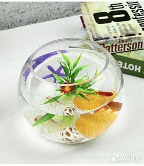 Аквариум, Ваза для флорариума