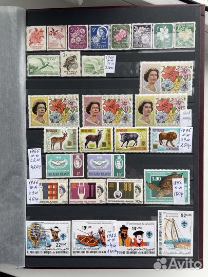 Флора,фауна