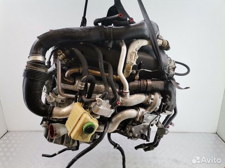 Двигатель (двс) Volkswagen Touareg 1 (2002-2010) BLE