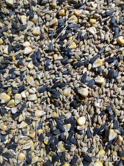 Зерно смесь дробленка, целая
