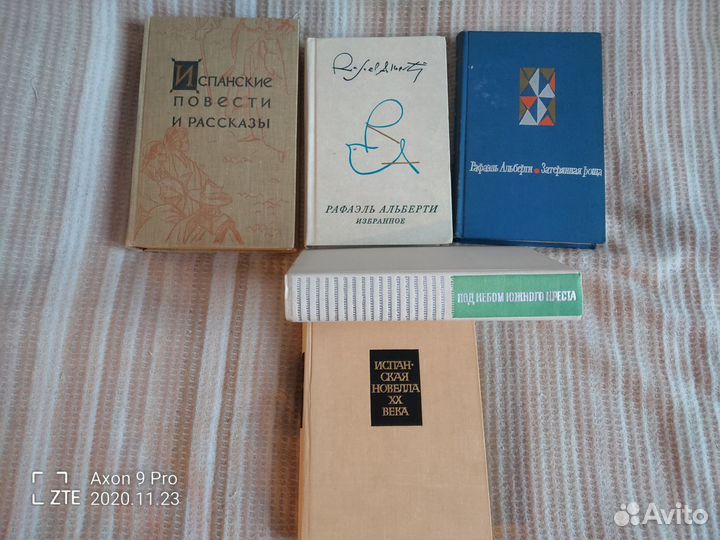 Литература Испании и Латинской Америки (200 кн.)