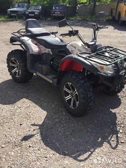 Квадроцикл Polar Fox 2013