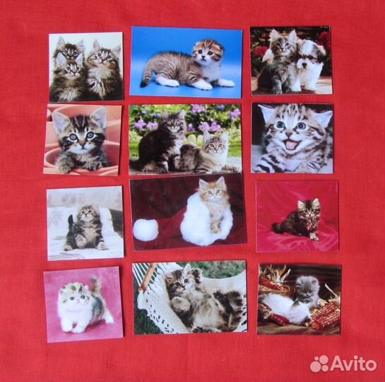 Магнитики на холодильник