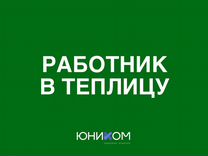 Работник в теплицу