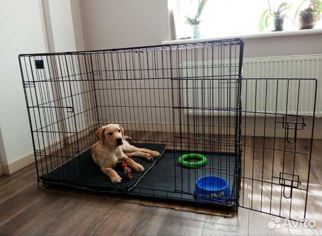 Клетка Для Собак Кошек Клетка Для Животных