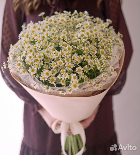 Букеты из ромашек с доставкой 24