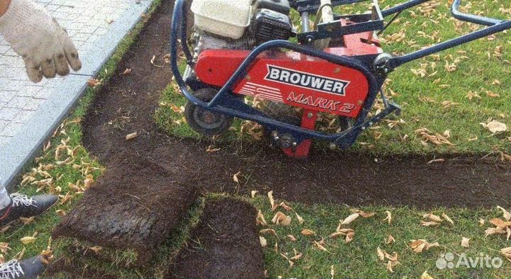 Укладка газона