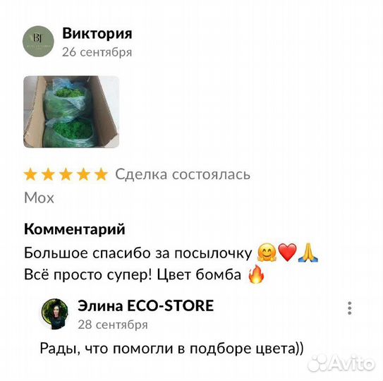 Часы со мхом 40 см Антара