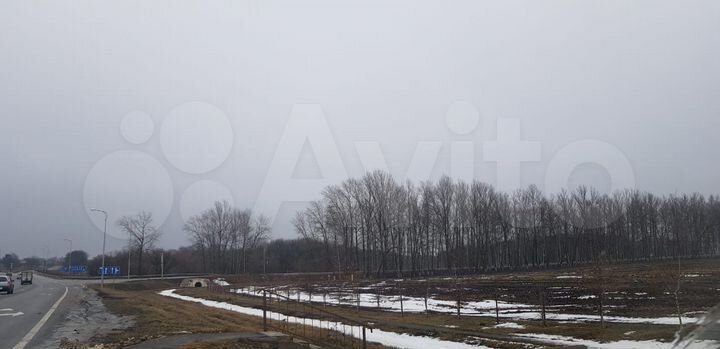 Участок 4,43 га (СНТ, ДНП)