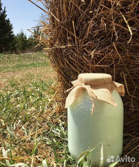 Молоко домашнее